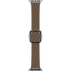 Correa Apple Cafe Para Caja De 38-40-41 mm Hebilla Moderna M
